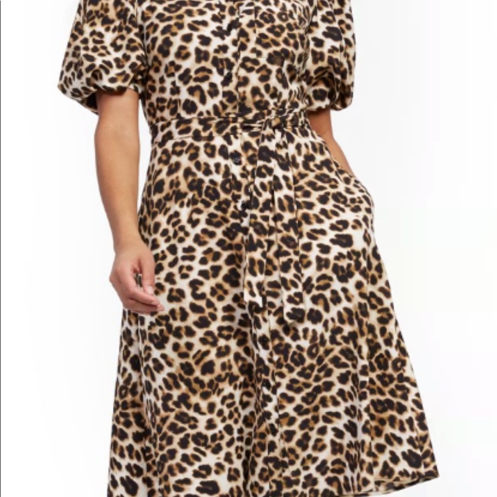 New York and company leopard midi dress